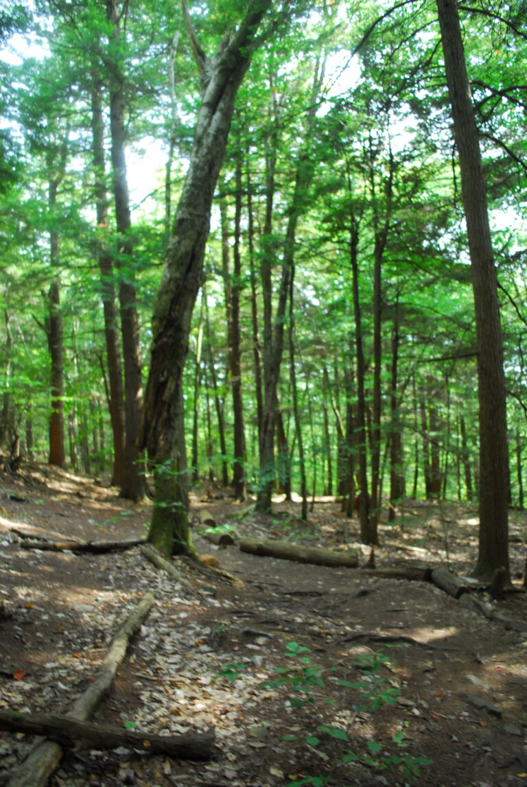 Bradbury Mountain State Park