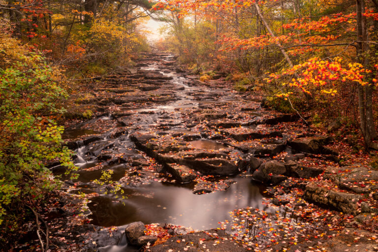 Acadia National Park