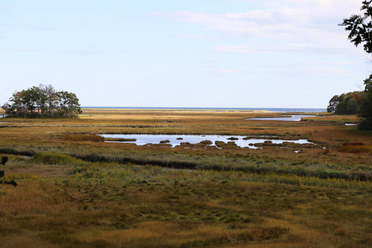 Rachel Carson National Wildlife Refuge