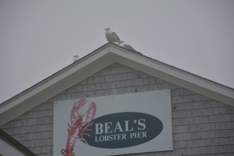 Beal’s Lobster Pier